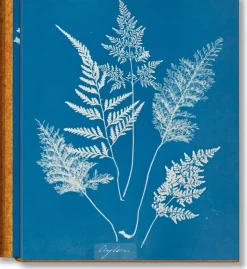 Anna Atkins Cyanotypes