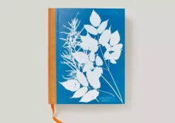 Anna Atkins Cyanotypes
