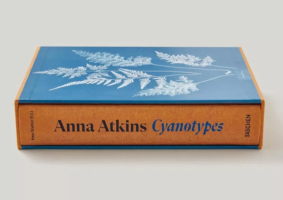 Anna Atkins Cyanotypes