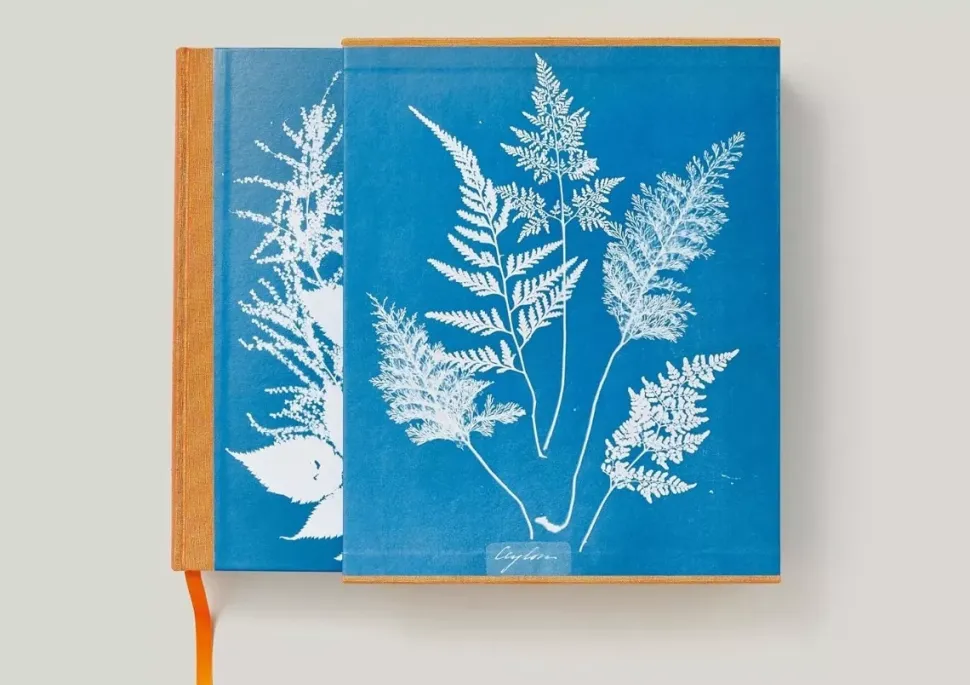 Anna Atkins Cyanotypes