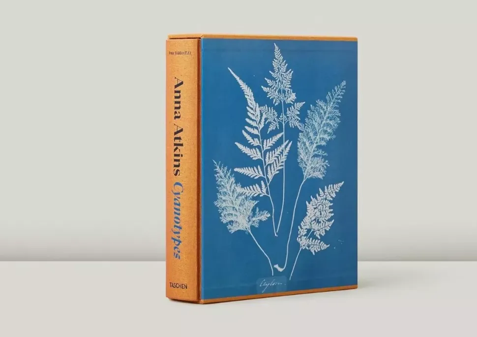 Anna Atkins Cyanotypes