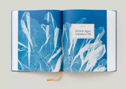 Anna Atkins Cyanotypes