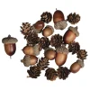 Bellotas y Piñas para Decoración Rayher