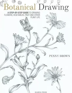 Botanical Drawing Step by Step Guide
