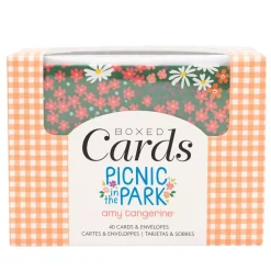 Caja de sobres y postales Picnic in the Park Amy Tangerine