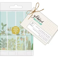 Caja de sobres y postales Goldenrod 1canoe2