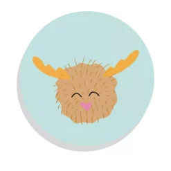 Chapas Noel Iriri Estudio