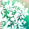 Classic Happy Planner Serene Garden 2025