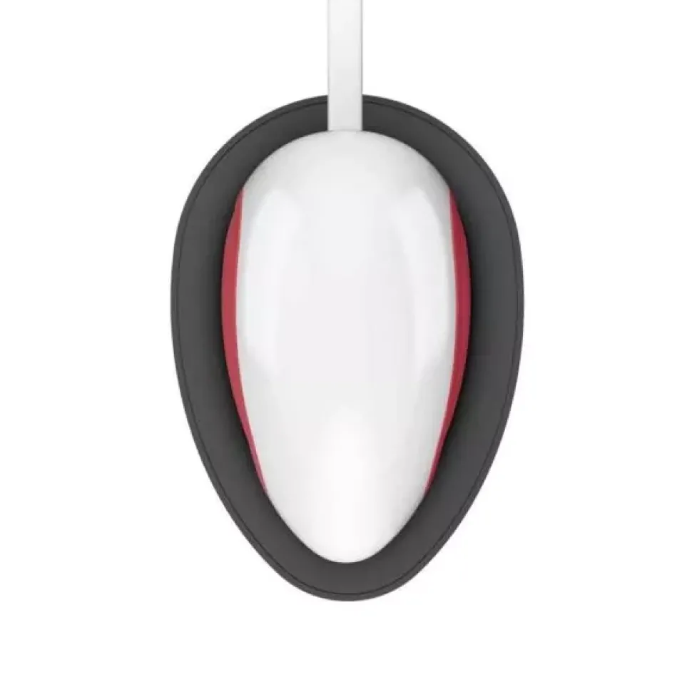 Cricut EasyPress Mini Raspberry