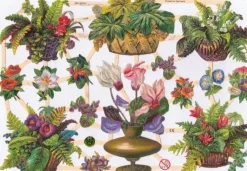 Cromos Alemanes 23-7296