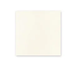 Cuaderno liso cuadrado Thick Midori MD Paper A5