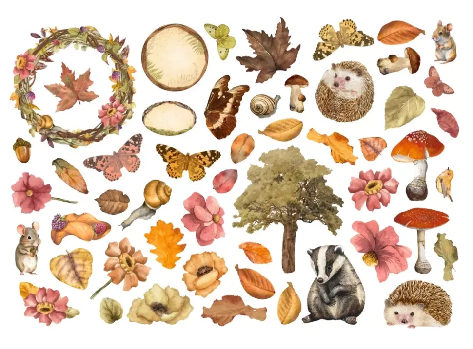 Die-cuts Ephemera Romantic Woodland Stamperia