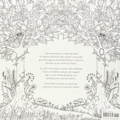 Enchanted Forest An Inky Quest and Coloring Book