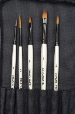 Estuche con cremallera y 10 pinceles Daler Rowney