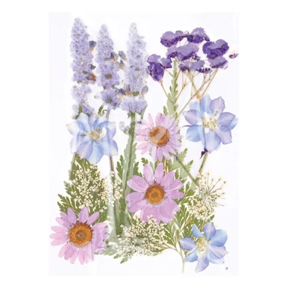 Flores prensadas Lavanda Artemio