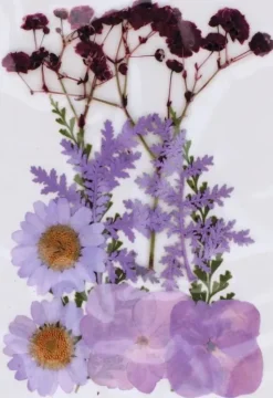 Flores Prensadas Lila Artemio