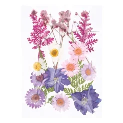 Flores prensadas Malva Artemio