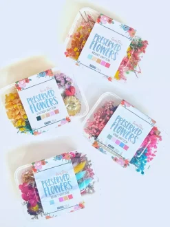 Flores preservadas Rabbit Edition Miradas Quim Díaz