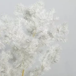 Flores secas Espárragos Blanco Artemio