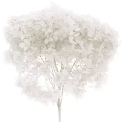 Flores secas Hortensia Blanca Artemio