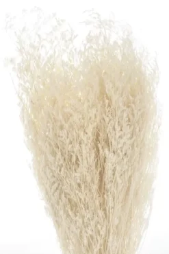 Flores secas Limonium Blanco Artemio