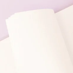 Hojas de Planner de Disco de Puntos Craftelier