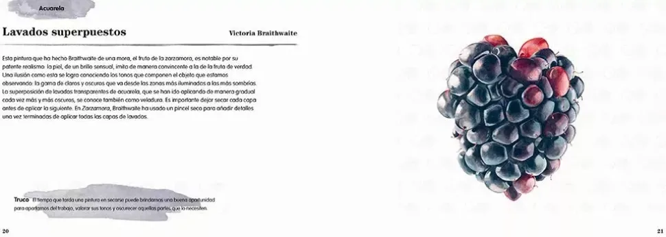 Ilustración botánica Técnicas contemporáneas para dibujar flores y plantas