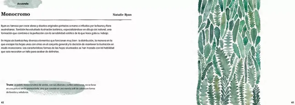 Ilustración botánica Técnicas contemporáneas para dibujar flores y plantas