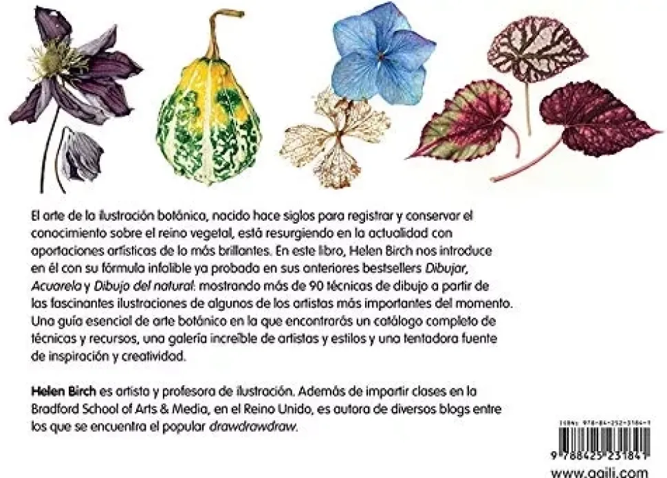 Ilustración botánica Técnicas contemporáneas para dibujar flores y plantas