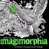 Imagimorphia An Extreme Coloring and Search Challenge