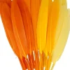 Kit 28 Plumas Amarillo Artemio