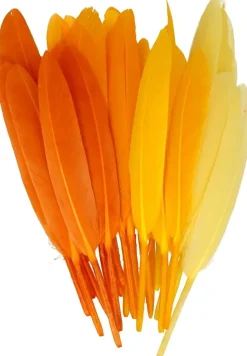 Kit 28 Plumas Amarillo Artemio