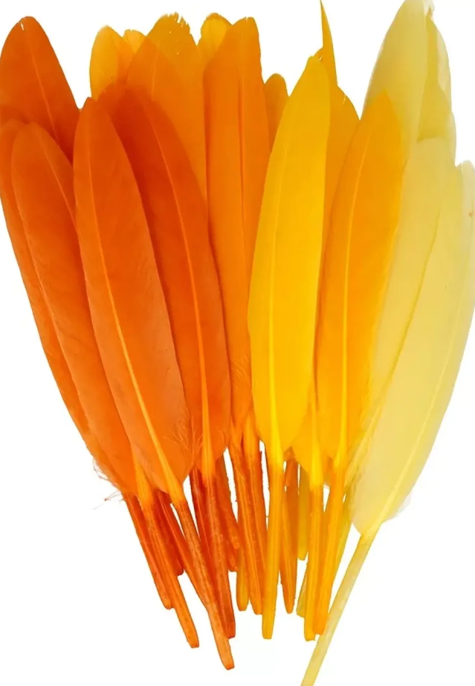 Kit 28 Plumas Amarillo Artemio