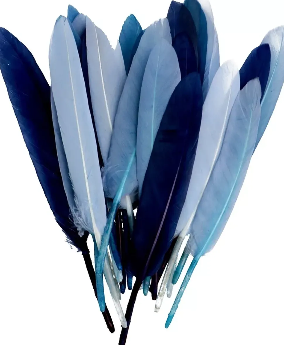 Kit 28 Plumas Azul Artemio