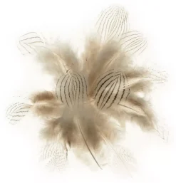 Kit 10 Plumas Beige Artemio