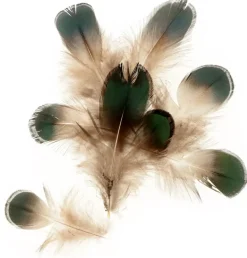 Kit 10 Plumas Bicolor Artemio