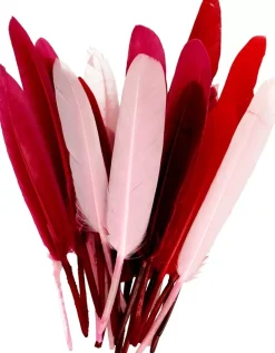 Kit 28 Plumas Rojo Y Rosa Artemio