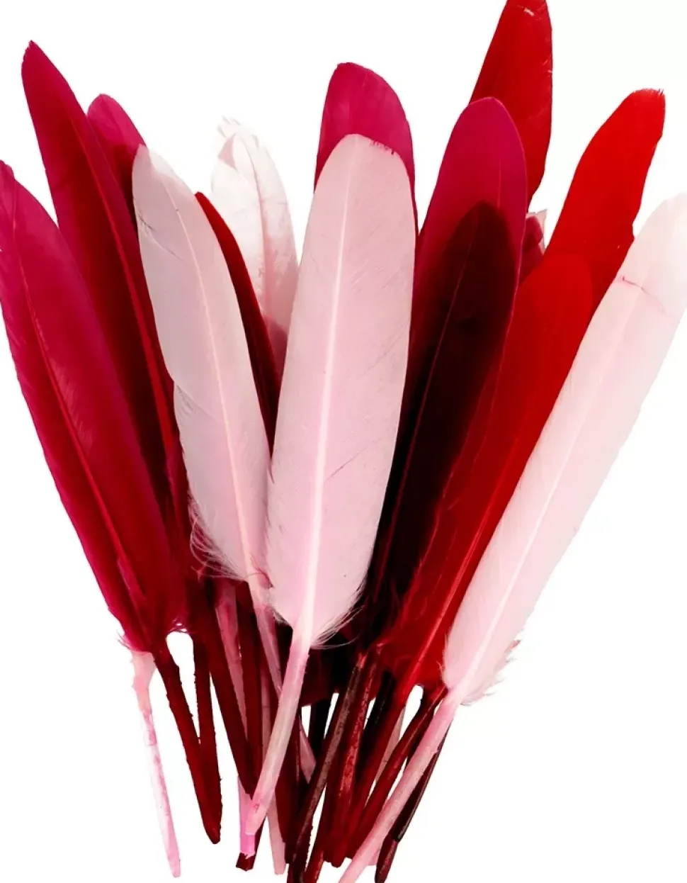 Kit 28 Plumas Rojo Y Rosa Artemio