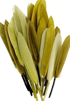 Kit 28 Plumas Verde Artemio