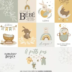 Kit de scrapbooking À Petits Pas Boy Florilèges Design 30x30cm