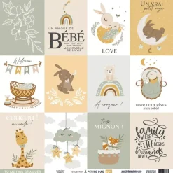 Kit de scrapbooking À Petits Pas Boy Florilèges Design 30x30cm