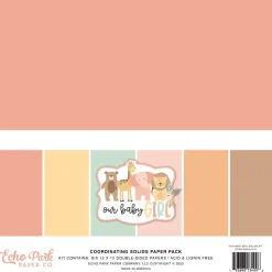 Kit de Scrapbooking Solids Our Baby Girl Echo Park 30x30cm