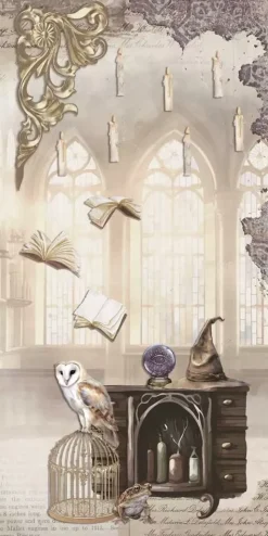 Kit de scrapbooking Wizarding Adventure II PapersForYou 15x30cm