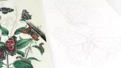 Libro para colorear Natural History The Pepin Press 25x34cm