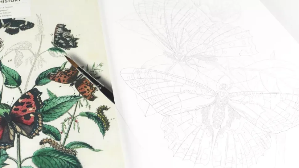 Libro para colorear Natural History The Pepin Press 25x34cm