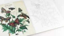 Libro para colorear Natural History The Pepin Press 25x34cm