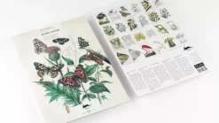 Libro para colorear Natural History The Pepin Press 25x34cm