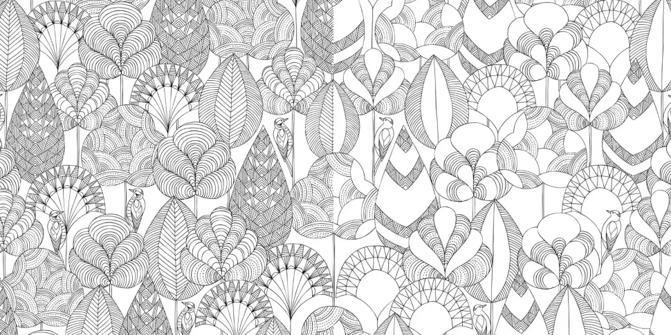 Millie Marotta's Animal Kingdom pocket colouring