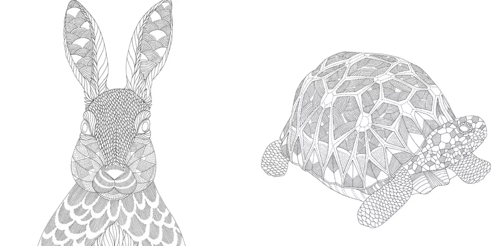 Millie Marotta's Animal Kingdom pocket colouring