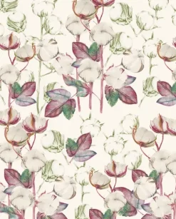 Papel Algodón Tassotti